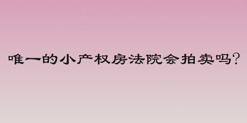 唯一的小产权房法院会拍卖吗?