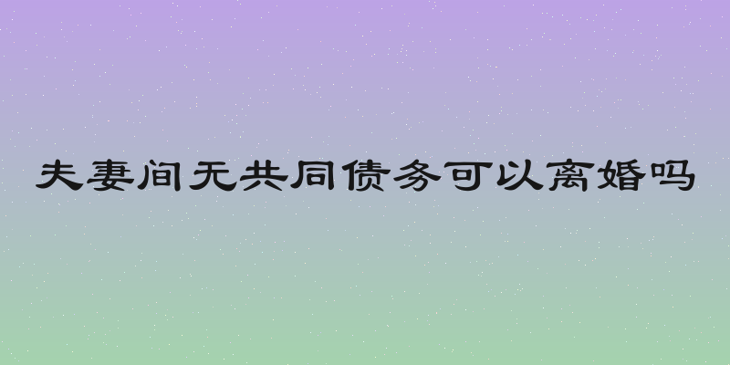 夫妻间无共同债务可以离婚吗