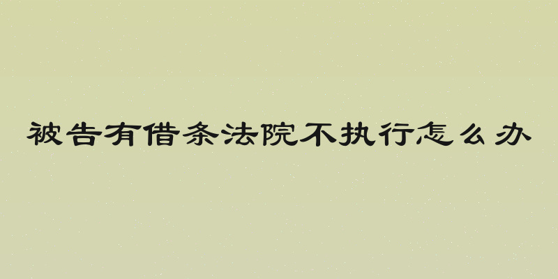 被告有借条法院不执行怎么办