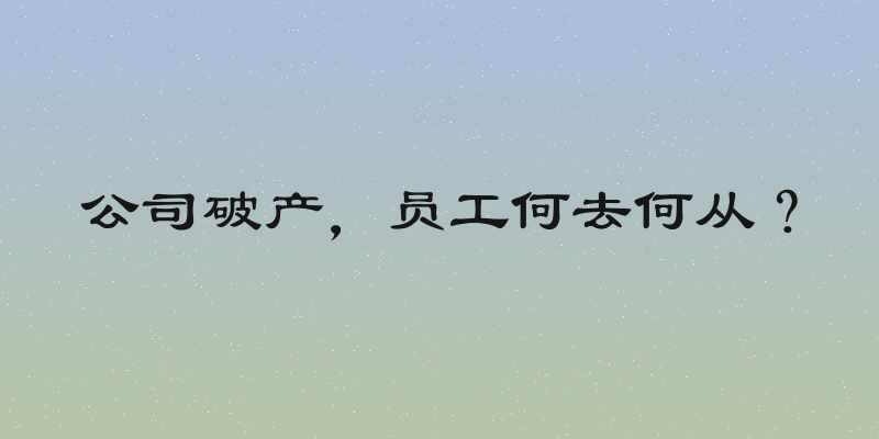 公司破产，员工何去何从？