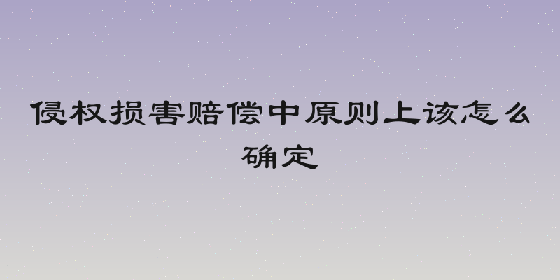 侵权损害赔偿中原则上该怎么确定