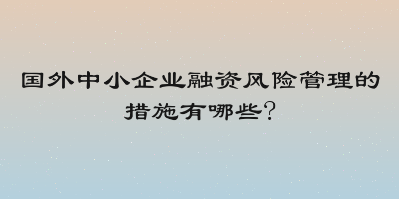 国外中小企业融资风险管理的措施有哪些?