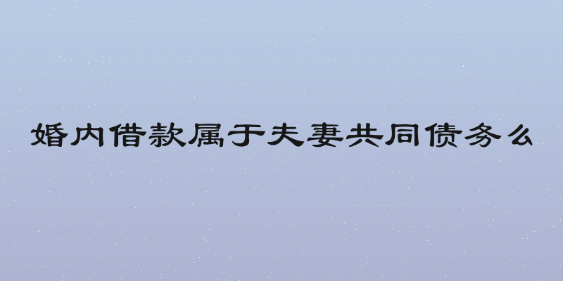 婚内借款属于夫妻共同债务么