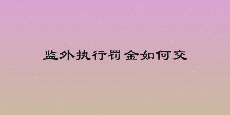 监外执行罚金如何交