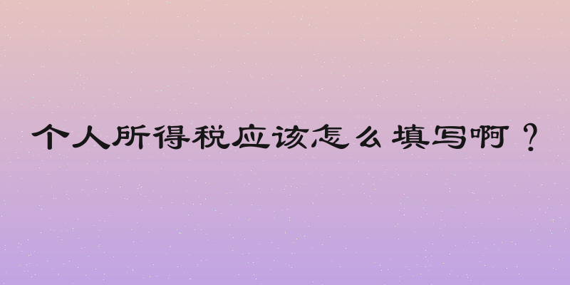 个人所得税应该怎么填写啊？
