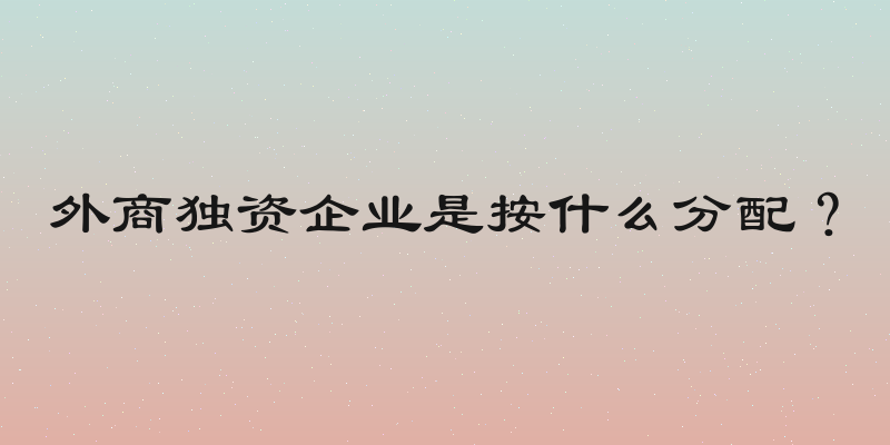 外商独资企业是按什么分配？