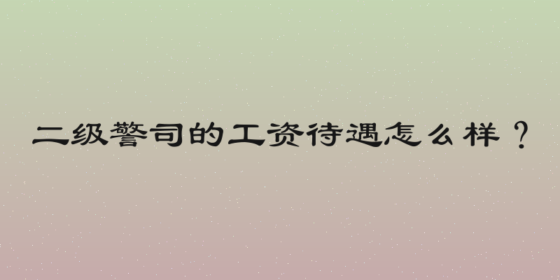 二级警司的工资待遇怎么样？