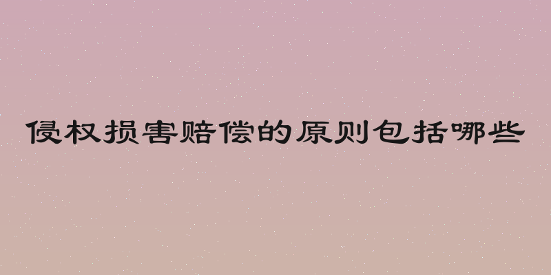 侵权损害赔偿的原则包括哪些
