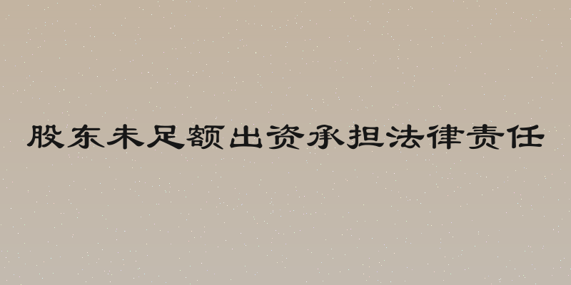 股东未足额出资承担法律责任