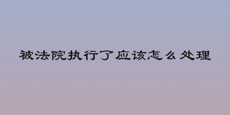 被法院执行了应该怎么处理