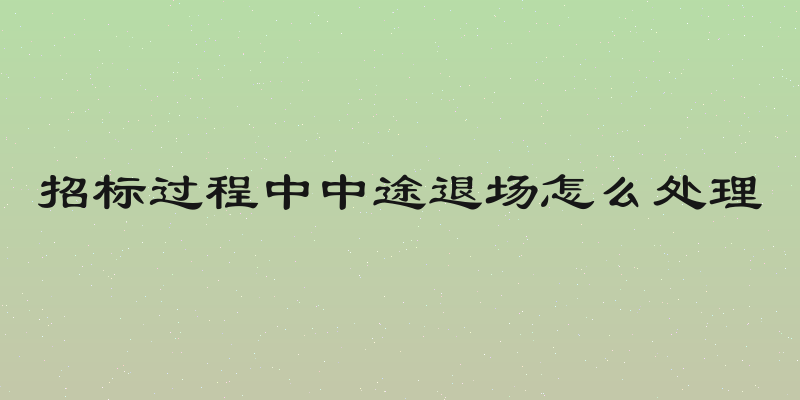 招标过程中中途退场怎么处理