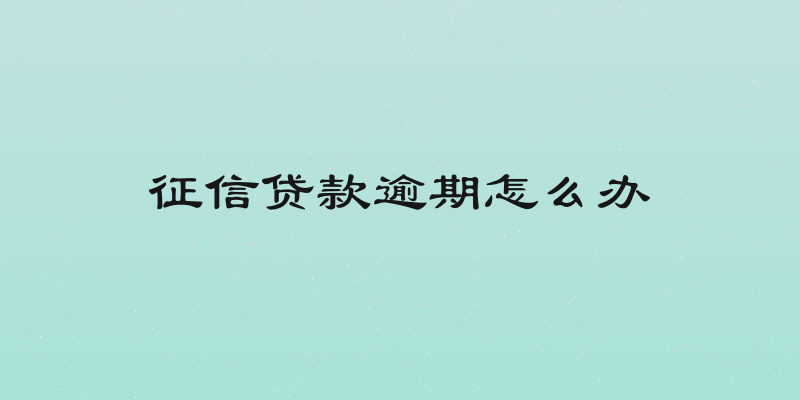 征信贷款逾期怎么办