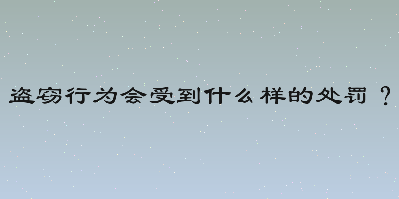 盗窃行为会受到什么样的处罚？