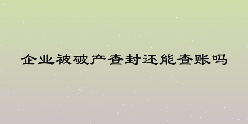 企业被破产查封还能查账吗
