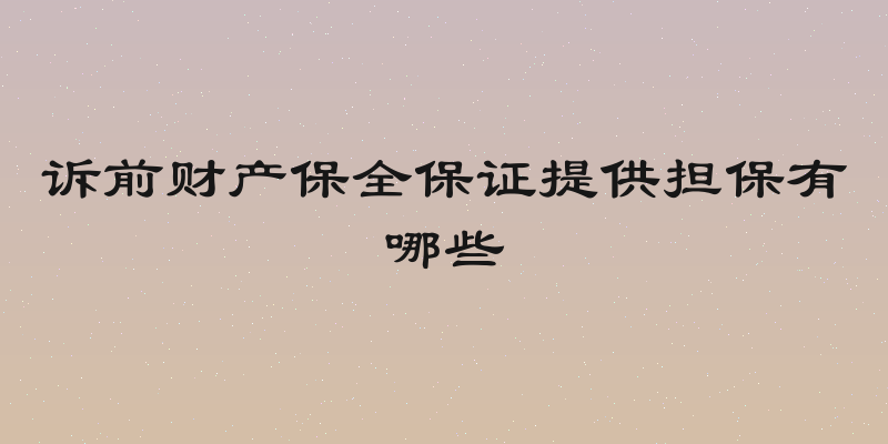 诉前财产保全保证提供担保有哪些