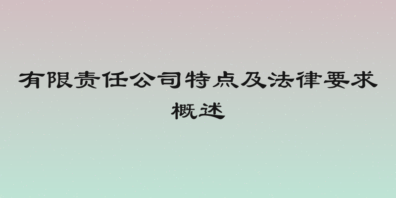 有限责任公司特点及法律要求概述