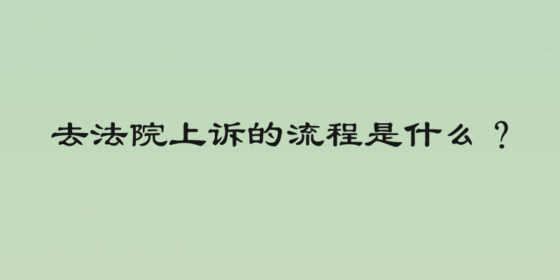 去法院上诉的流程是什么？