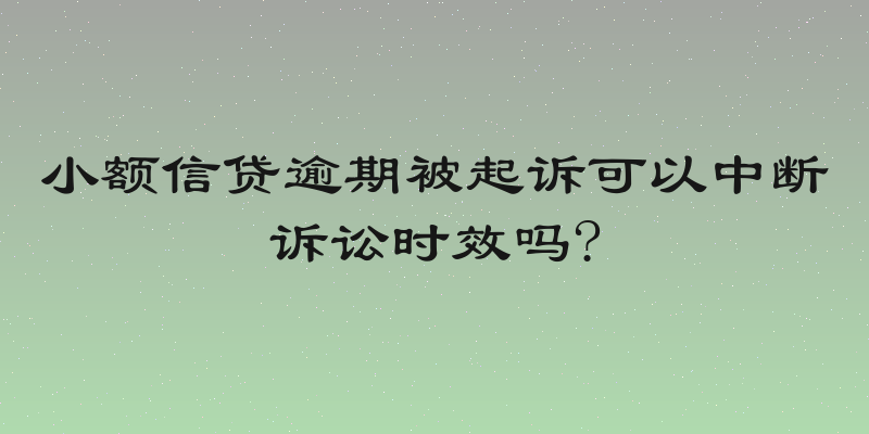 小额信贷逾期被起诉可以中断诉讼时效吗?