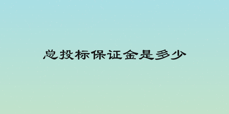 总投标保证金是多少