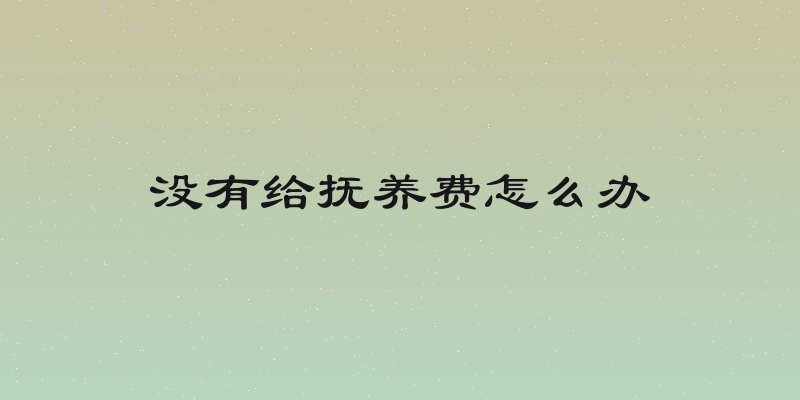 没有给抚养费怎么办