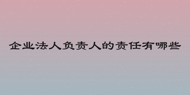 企业法人负责人的责任有哪些