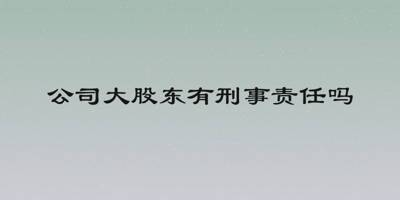 公司大股东有刑事责任吗