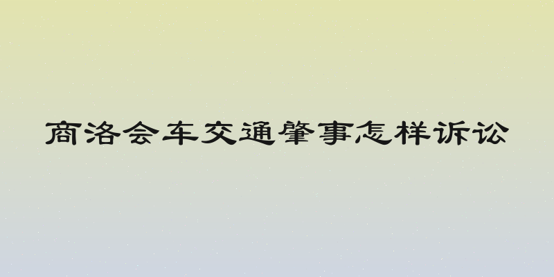 商洛会车交通肇事怎样诉讼
