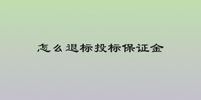 怎么退标投标保证金