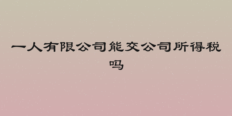 一人有限公司能交公司所得税吗