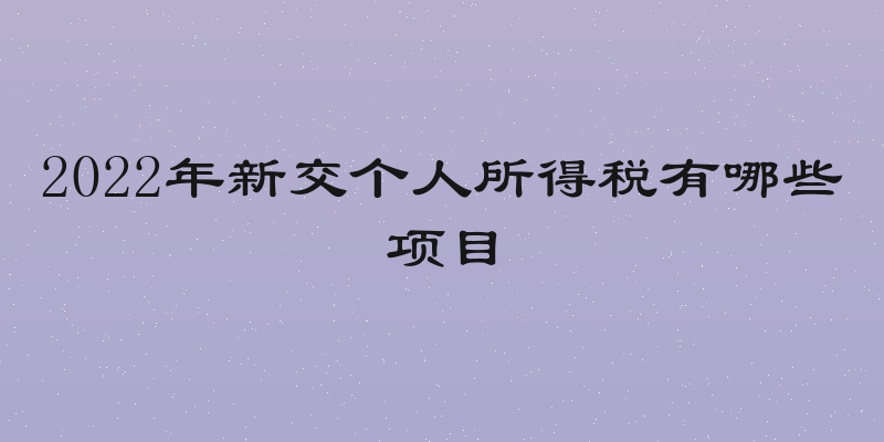 2022年新交个人所得税有哪些项目