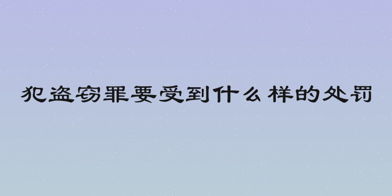 犯盗窃罪要受到什么样的处罚