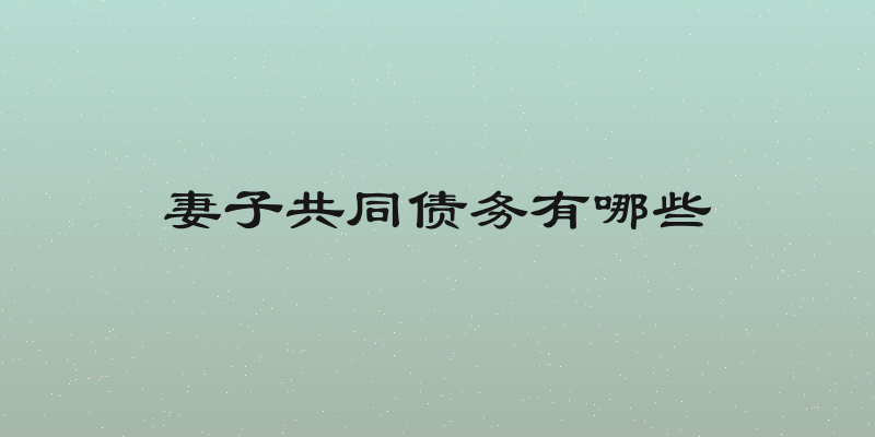 妻子共同债务有哪些
