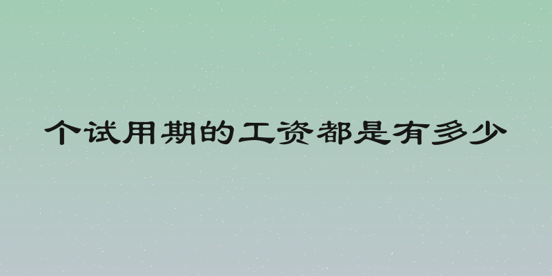 个试用期的工资都是有多少