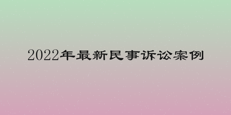 2022年最新民事诉讼案例