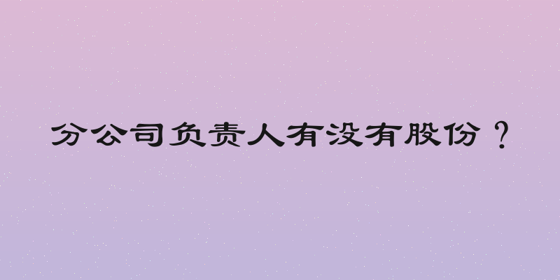 分公司负责人有没有股份？