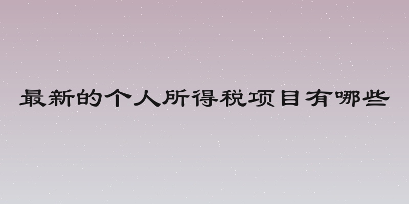 最新的个人所得税项目有哪些