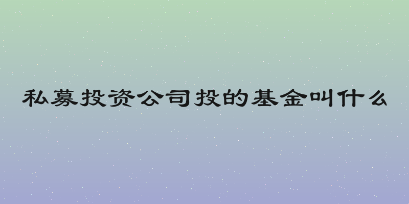 私募投资公司投的基金叫什么