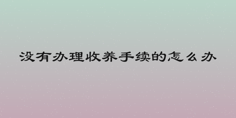 没有办理收养手续的怎么办