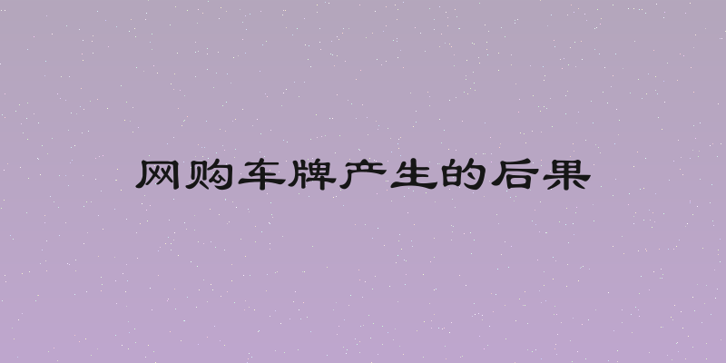 网购车牌产生的后果