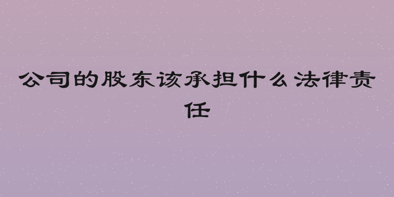 公司的股东该承担什么法律责任