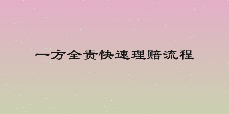 一方全责快速理赔流程