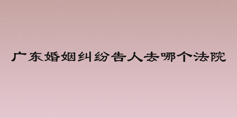 广东婚姻纠纷告人去哪个法院