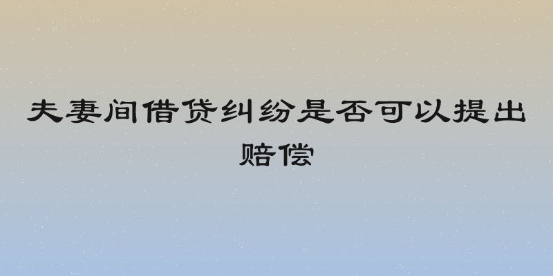 夫妻间借贷纠纷是否可以提出赔偿