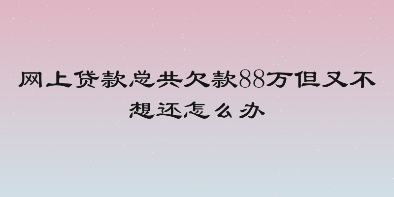 网上贷款总共欠款88万但又不想还怎么办