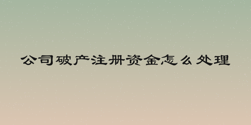 公司破产注册资金怎么处理