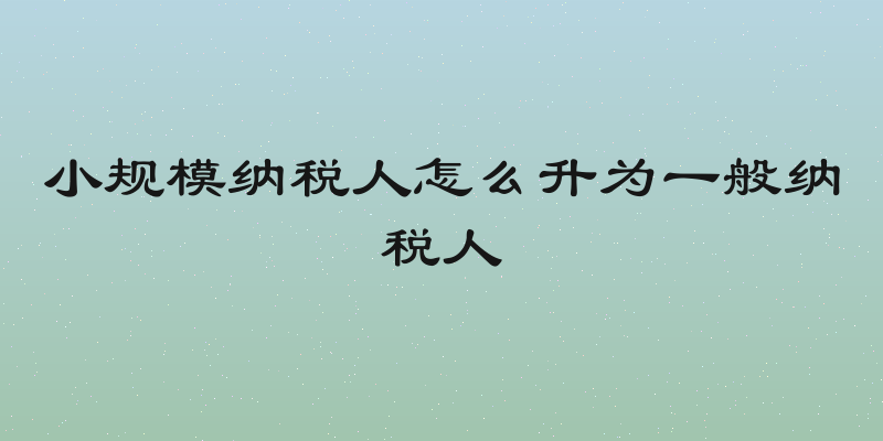 小规模纳税人怎么升为一般纳税人