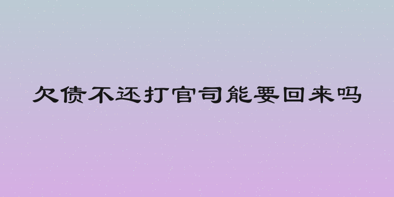 欠债不还打官司能要回来吗