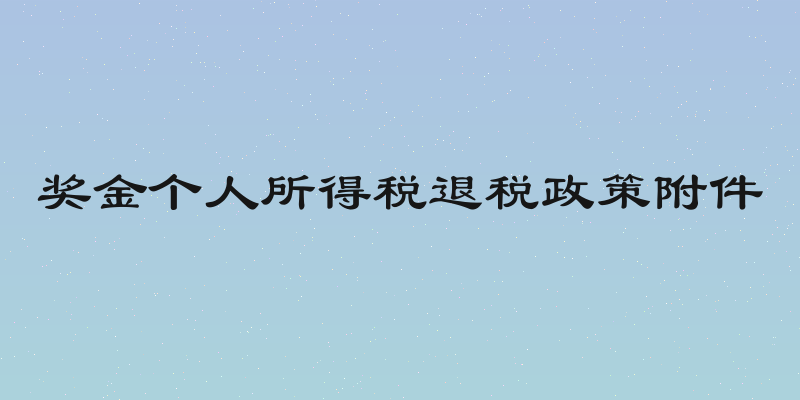 奖金个人所得税退税政策附件
