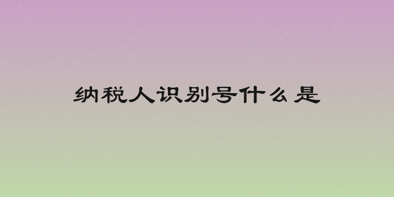 纳税人识别号什么是