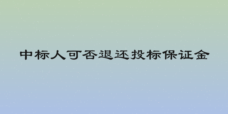 中标人可否退还投标保证金